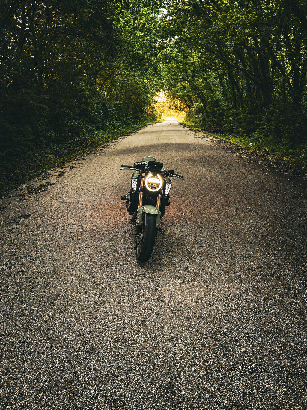 2025+ CB650R blinkers (Plug and Play)