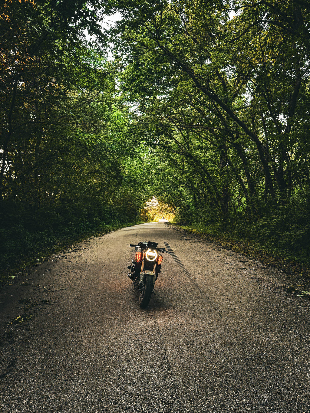 2025+ CB650R blinkers (Plug and Play)
