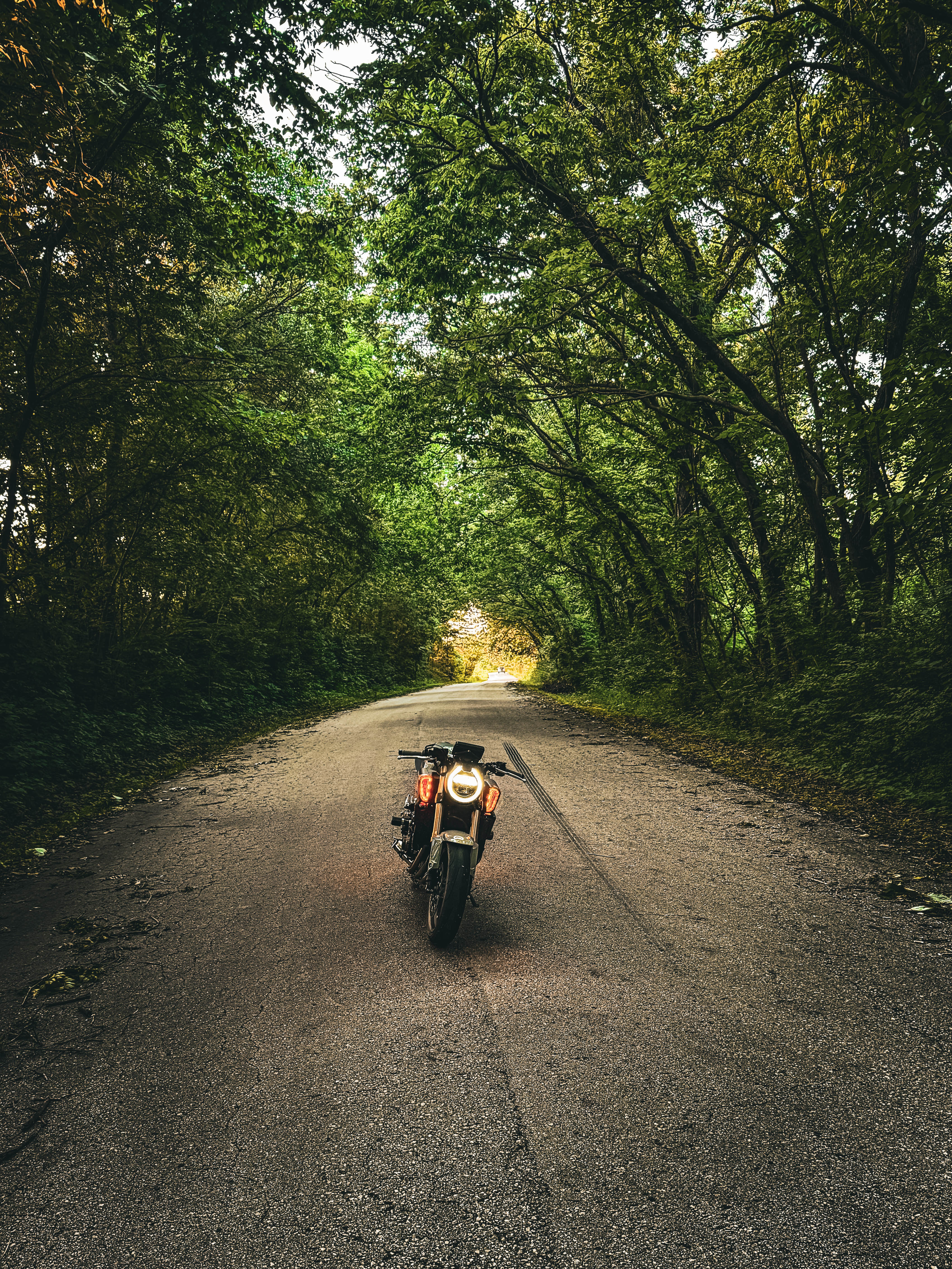 2025+ CB650R blinkers (Plug and Play)